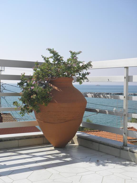 Hotel Venetia Ireo  Extérieur photo